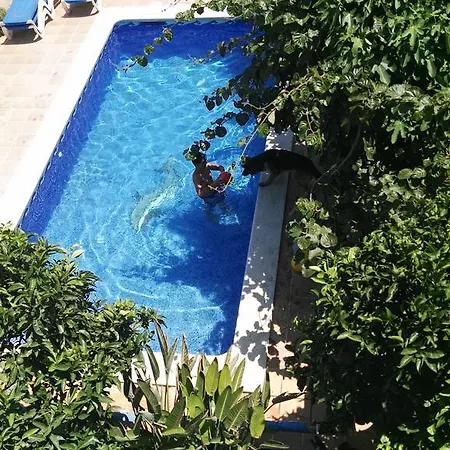 Mar Y Montana Apartament
